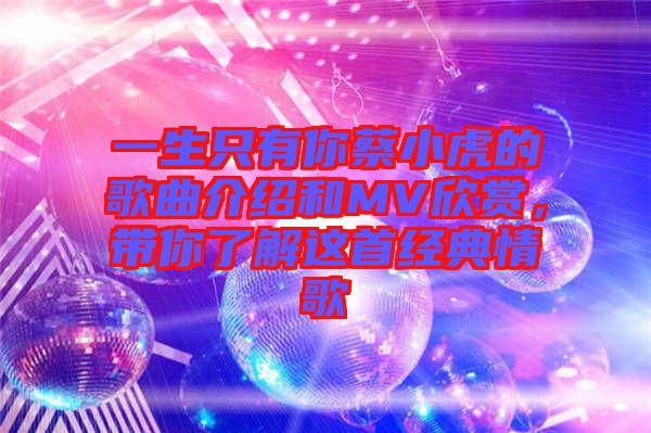 一生只有你蔡小虎的歌曲介紹和MV欣賞，帶你了解這首經典情歌