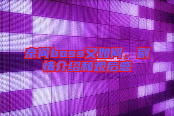 奈何boss又如何，劇情介紹和觀后感