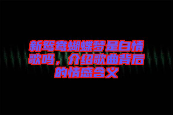 新鴛鴦蝴蝶夢是白情歌嗎，介紹歌曲背后的情感含義