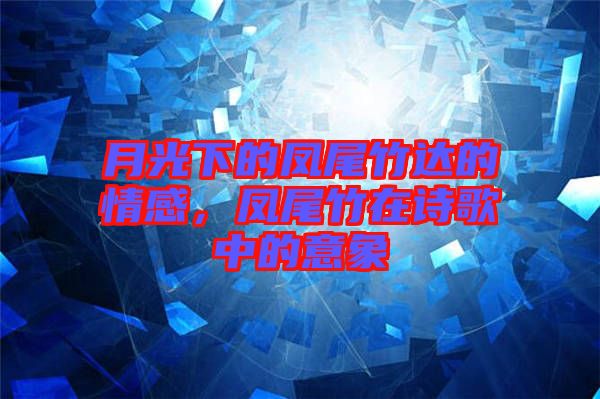 月光下的鳳尾竹達(dá)的情感，鳳尾竹在詩歌中的意象