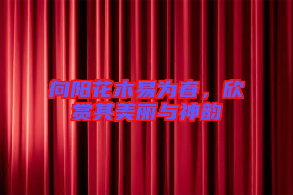 向陽花木易為春，欣賞其美麗與神韻