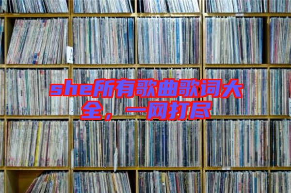 she所有歌曲歌詞大全，一網(wǎng)打盡