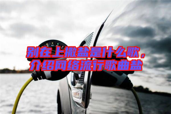 別在上撒鹽是什么歌，介紹網(wǎng)絡(luò)流行歌曲鹽