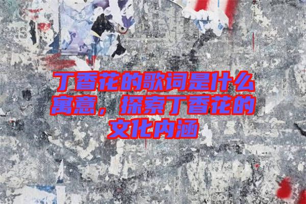 丁香花的歌詞是什么寓意，探索丁香花的文化內(nèi)涵