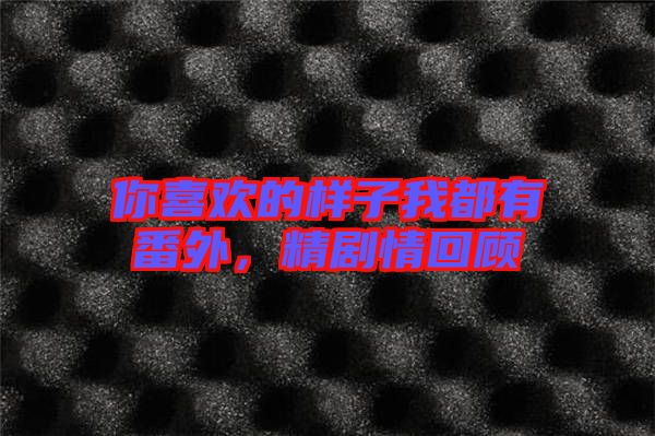 你喜歡的樣子我都有番外，精劇情回顧
