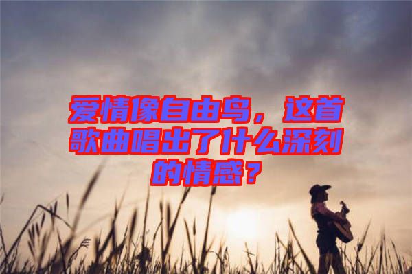 愛情像自由鳥，這首歌曲唱出了什么深刻的情感？