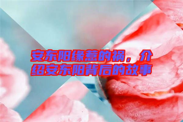 安東陽(yáng)緣惹的禍，介紹安東陽(yáng)背后的故事