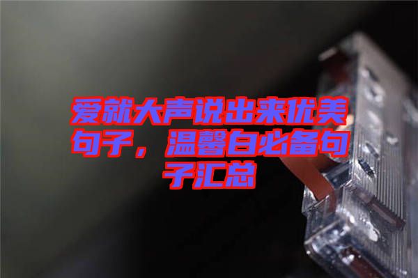 愛就大聲說出來優(yōu)美句子，溫馨白必備句子匯總