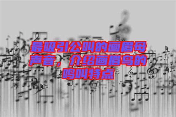 最吸引公叫的畫眉母聲音，介紹畫眉鳥的鳴叫特點