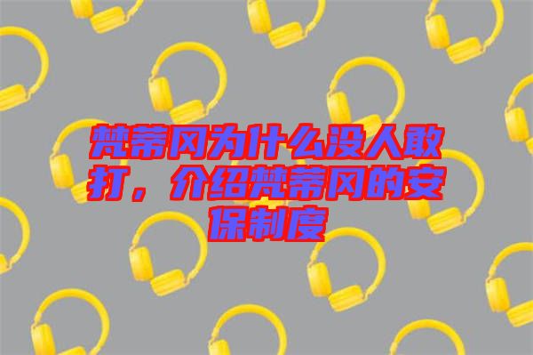 梵蒂岡為什么沒人敢打，介紹梵蒂岡的安保制度