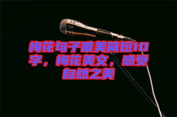 梅花句子唯美簡(jiǎn)短10字，梅花美文，感受自然之美