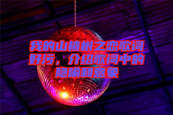 我的山楂樹之戀歌詞好污，介紹歌詞中的隱喻和意象