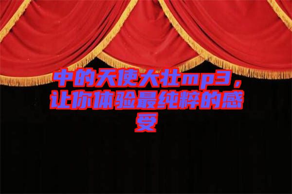 中的天使大壯mp3，讓你體驗(yàn)最純粹的感受