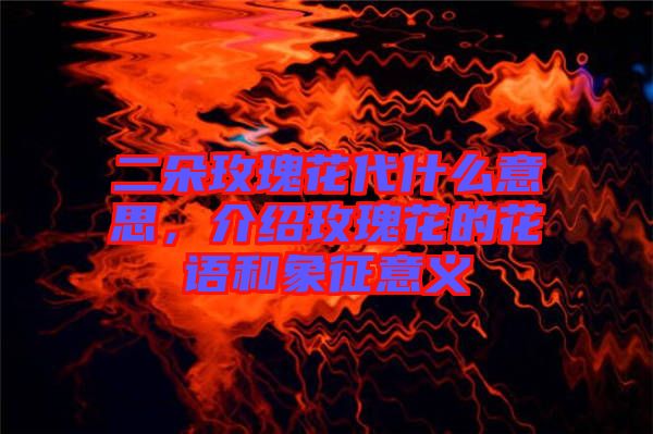 二朵玫瑰花代什么意思，介紹玫瑰花的花語和象征意義