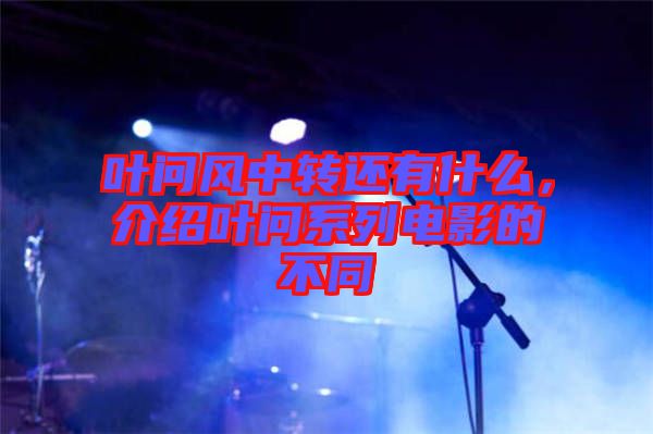 葉問風(fēng)中轉(zhuǎn)還有什么，介紹葉問系列電影的不同