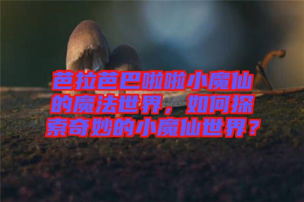 芭拉芭巴啦啦小魔仙的魔法世界，如何探索奇妙的小魔仙世界？