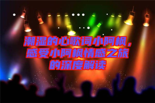 潮濕的心歌詞小阿楓，感受小阿楓情感之旅的深度解讀