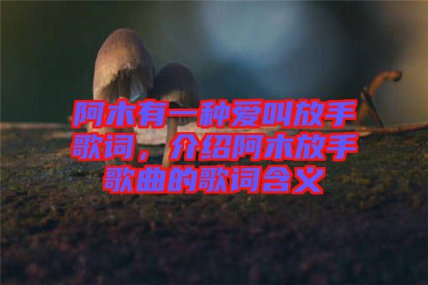 阿木有一種愛叫放手歌詞，介紹阿木放手歌曲的歌詞含義