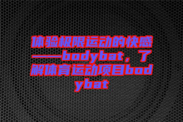 體驗(yàn)極限運(yùn)動(dòng)的快感——bodybat，了解體育運(yùn)動(dòng)項(xiàng)目bodybat