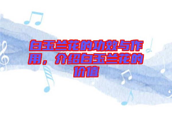 白玉蘭花的功效與作用，介紹白玉蘭花的價(jià)值