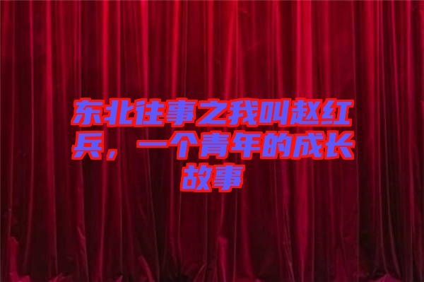 東北往事之我叫趙紅兵，一個青年的成長故事
