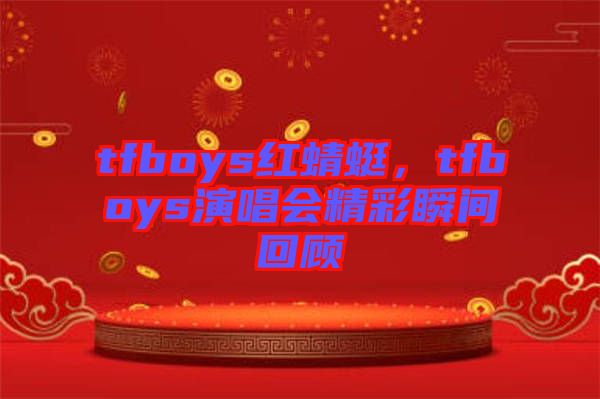 tfboys紅蜻蜓，tfboys演唱會(huì)精彩瞬間回顧