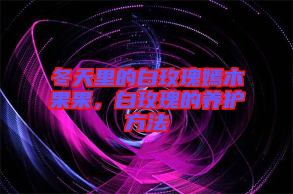 冬天里的白玫瑰嫣木果果，白玫瑰的養(yǎng)護(hù)方法