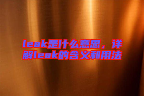 leak是什么意思，詳解leak的含義和用法