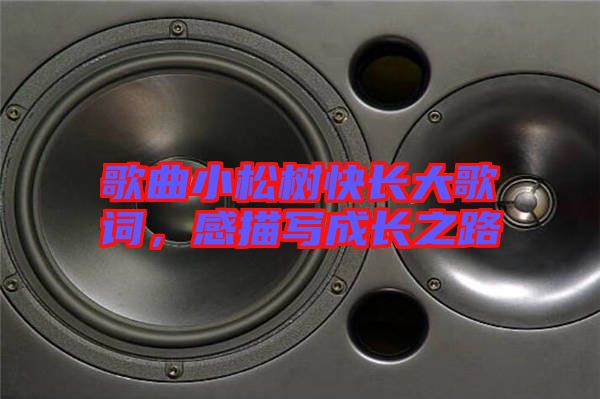 歌曲小松樹(shù)快長(zhǎng)大歌詞，感描寫成長(zhǎng)之路