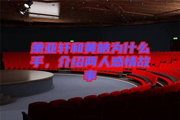 蕭亞軒和黃皓為什么手，介紹兩人感情故事