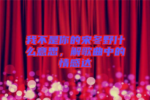 我不是你的宋冬野什么意思，解歌曲中的情感達(dá)