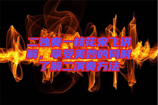 二獨奏一枝花宋飛講解，享受美妙的同時了解二演奏方法