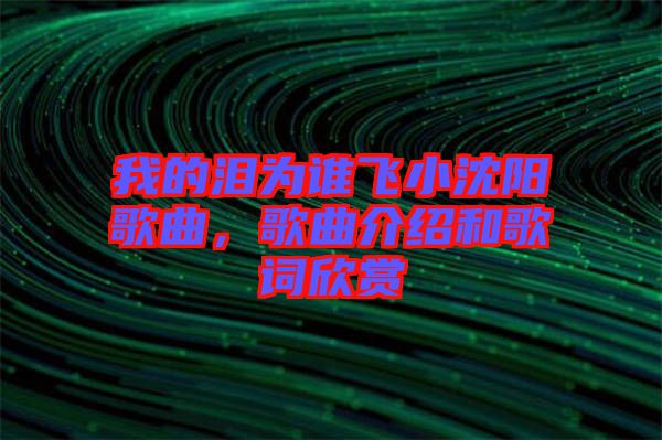 我的淚為誰(shuí)飛小沈陽(yáng)歌曲，歌曲介紹和歌詞欣賞
