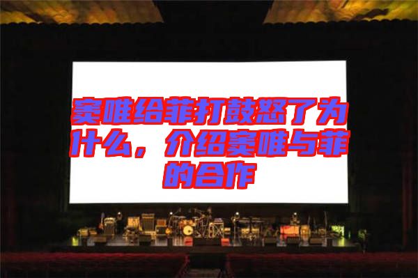 竇唯給菲打鼓怒了為什么，介紹竇唯與菲的合作