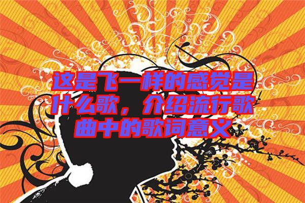 這是飛一樣的感覺(jué)是什么歌，介紹流行歌曲中的歌詞意義