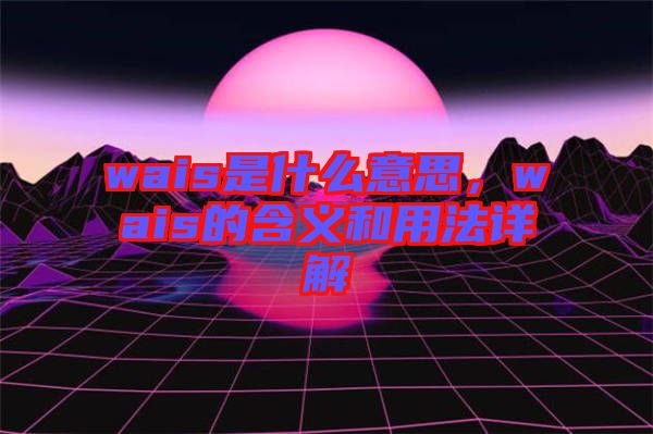 wais是什么意思，wais的含義和用法詳解