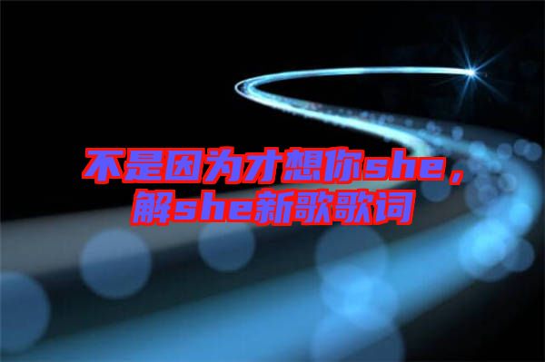 不是因?yàn)椴畔肽鉺he，解she新歌歌詞