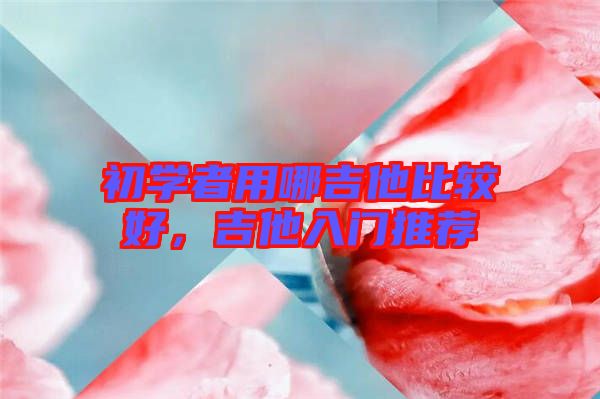 初學(xué)者用哪吉他比較好，吉他入門推薦