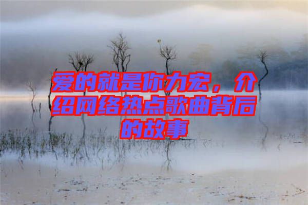 愛(ài)的就是你力宏，介紹網(wǎng)絡(luò)熱點(diǎn)歌曲背后的故事