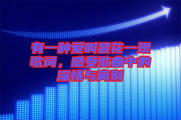 有一種愛叫曇花一現(xiàn)歌詞，感受歌曲中的深情與離別