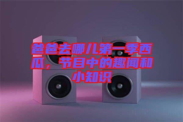 爸爸去哪兒第一季西瓜，節(jié)目中的趣聞和小知識(shí)