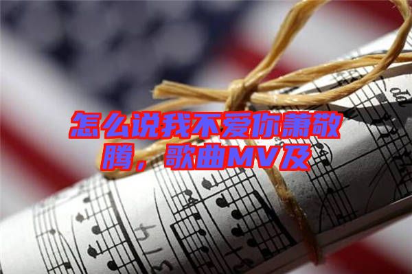 怎么說我不愛你蕭敬騰，歌曲MV及