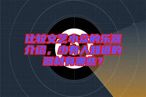 比較文藝小眾的樂器介紹，少有人知道的器材有哪些？