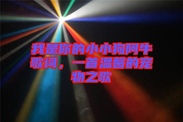 我是你的小小狗阿牛歌詞，一首溫馨的寵物之歌