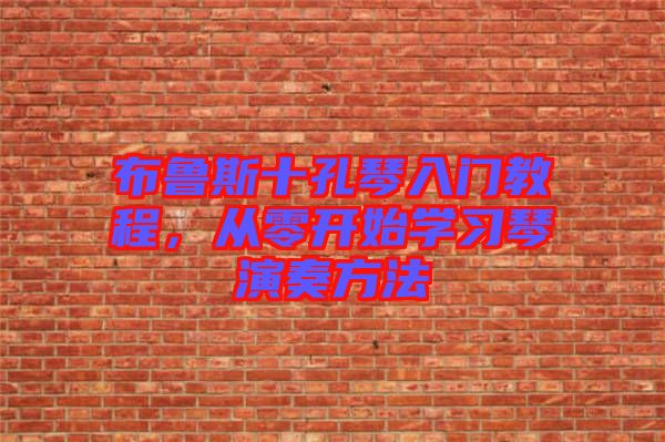 布魯斯十孔琴入門教程，從零開始學(xué)習琴演奏方法