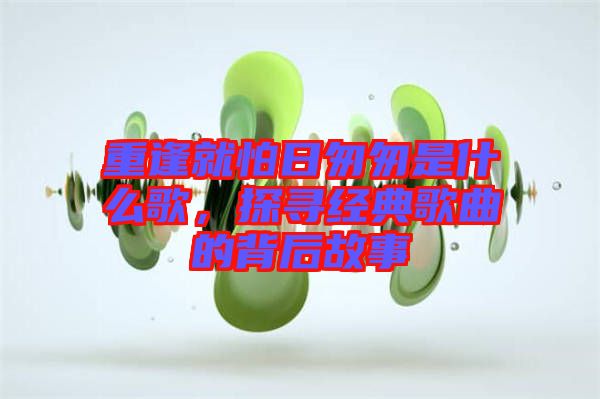 重逢就怕日匆匆是什么歌，探尋經(jīng)典歌曲的背后故事