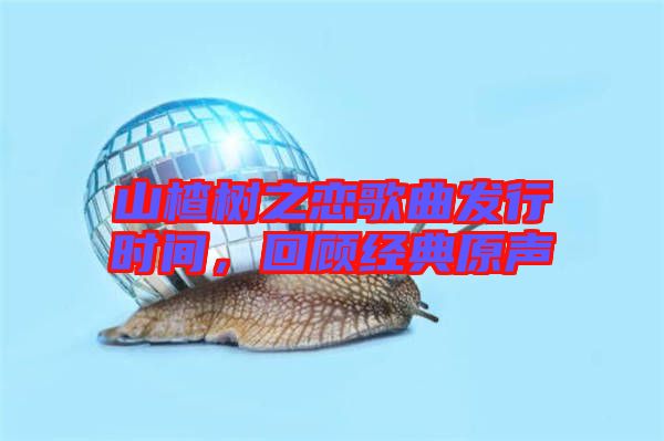 山楂樹(shù)之戀歌曲發(fā)行時(shí)間，回顧經(jīng)典原聲