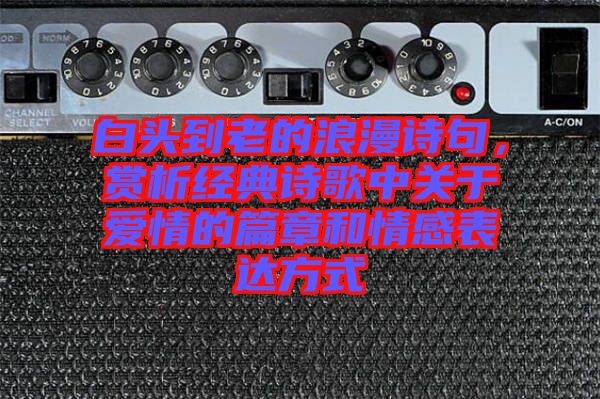 白頭到老的浪漫詩(shī)句，賞析經(jīng)典詩(shī)歌中關(guān)于愛(ài)情的篇章和情感表達(dá)方式