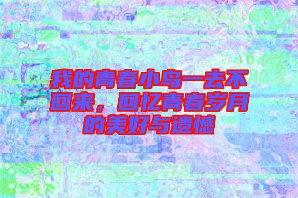 我的青春小鳥(niǎo)一去不回來(lái)，回憶青春歲月的美好與遺憾