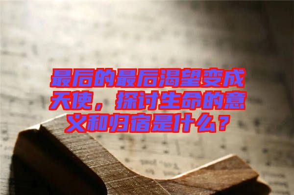 最后的最后渴望變成天使，探討生命的意義和歸宿是什么？